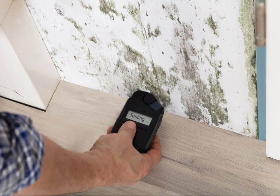 mold testing at home in memphis tn
